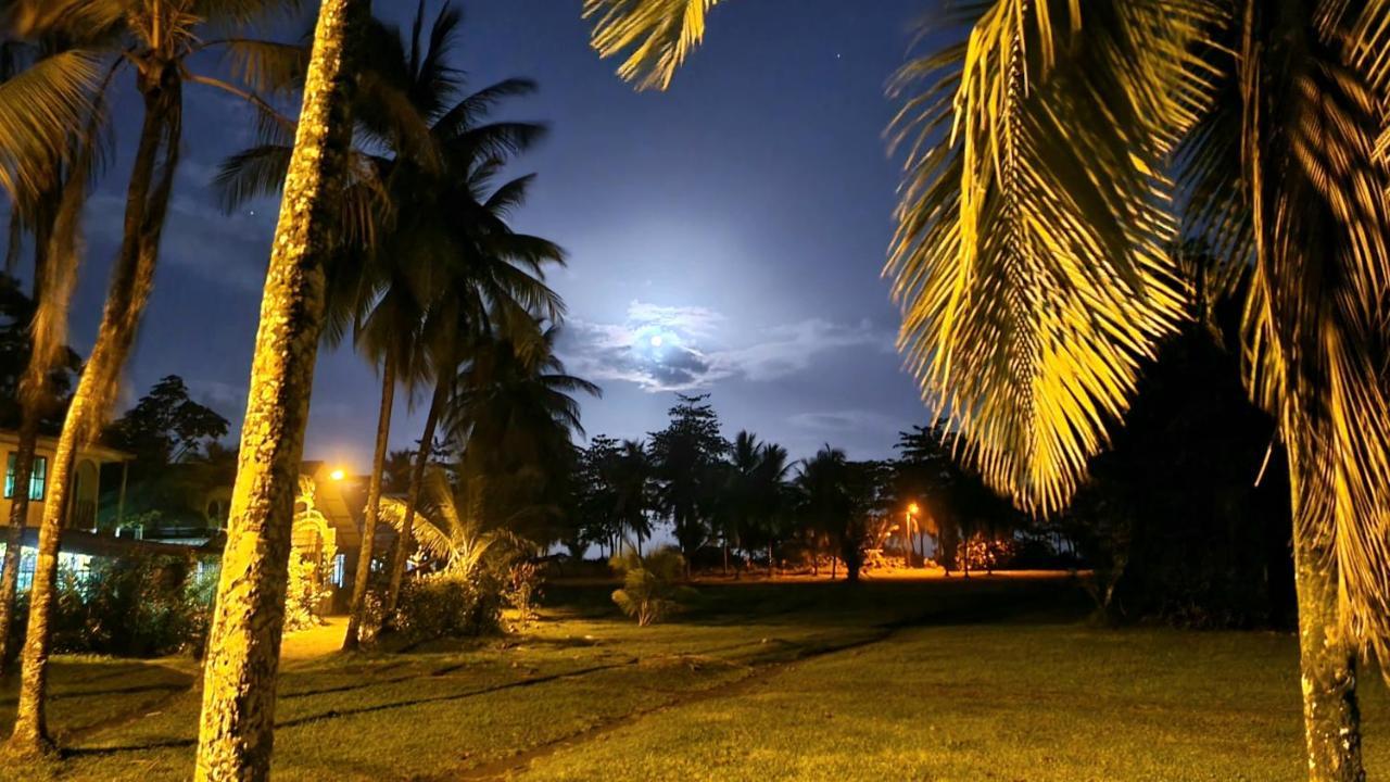 Wildlife Art Tortuguero Hotel Luaran gambar