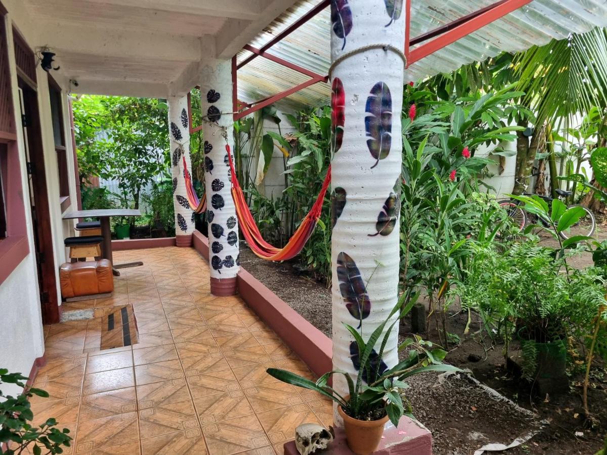 Wildlife Art Tortuguero Hotel Luaran gambar