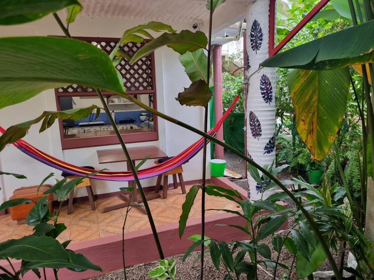 Wildlife Art Tortuguero Hotel Luaran gambar