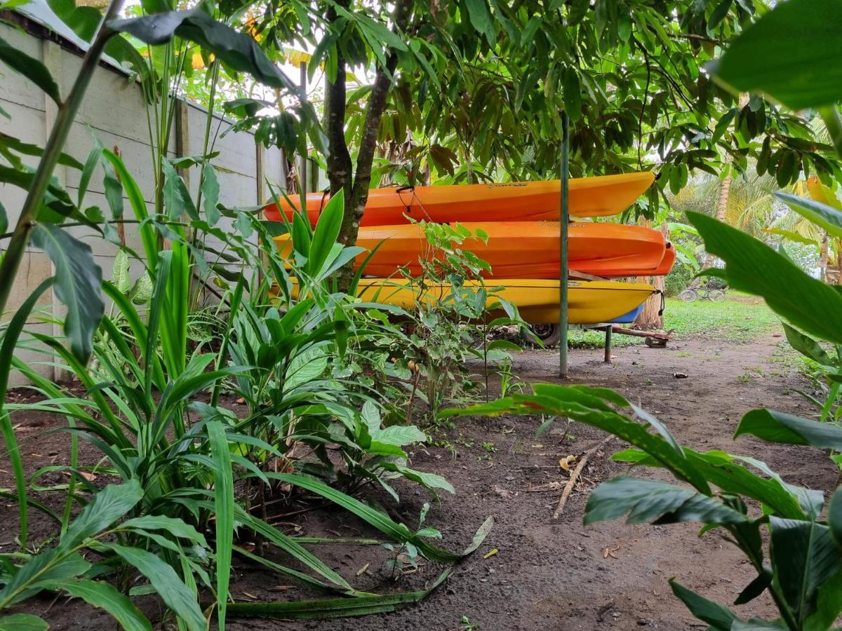 Wildlife Art Tortuguero Hotel Luaran gambar