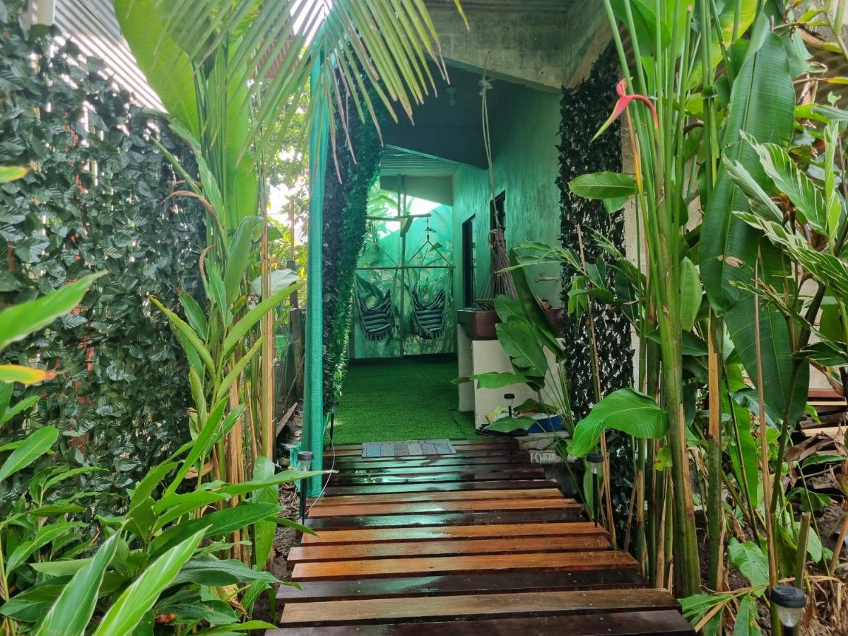 Wildlife Art Tortuguero Hotel Luaran gambar