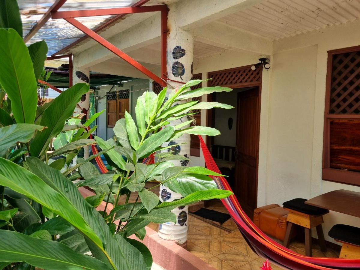 Wildlife Art Tortuguero Hotel Luaran gambar
