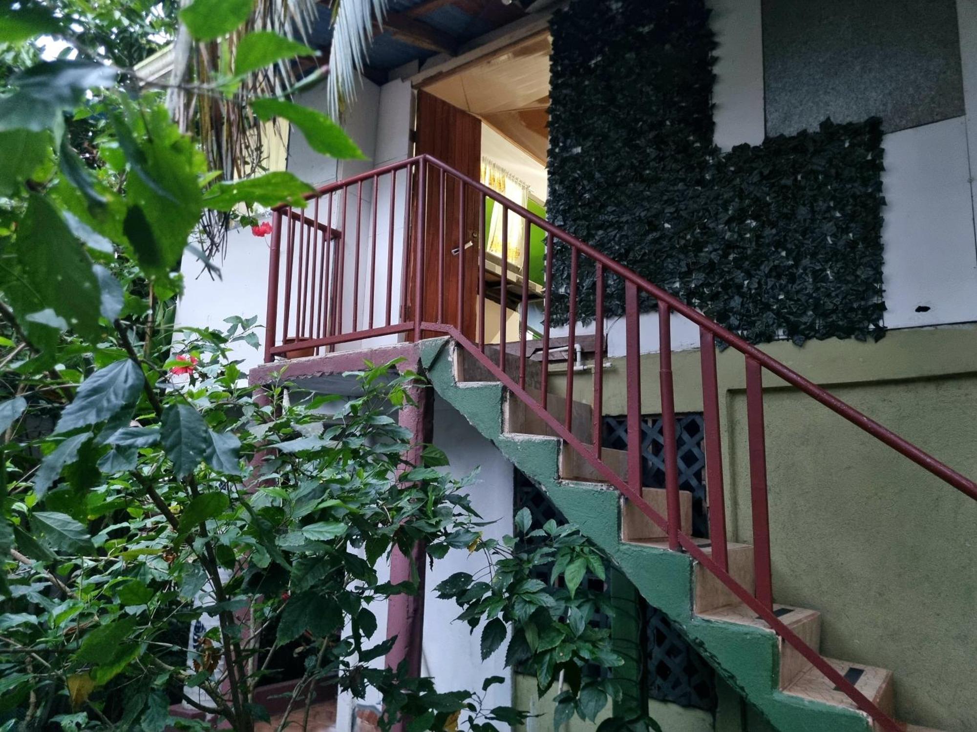 Wildlife Art Tortuguero Hotel Luaran gambar