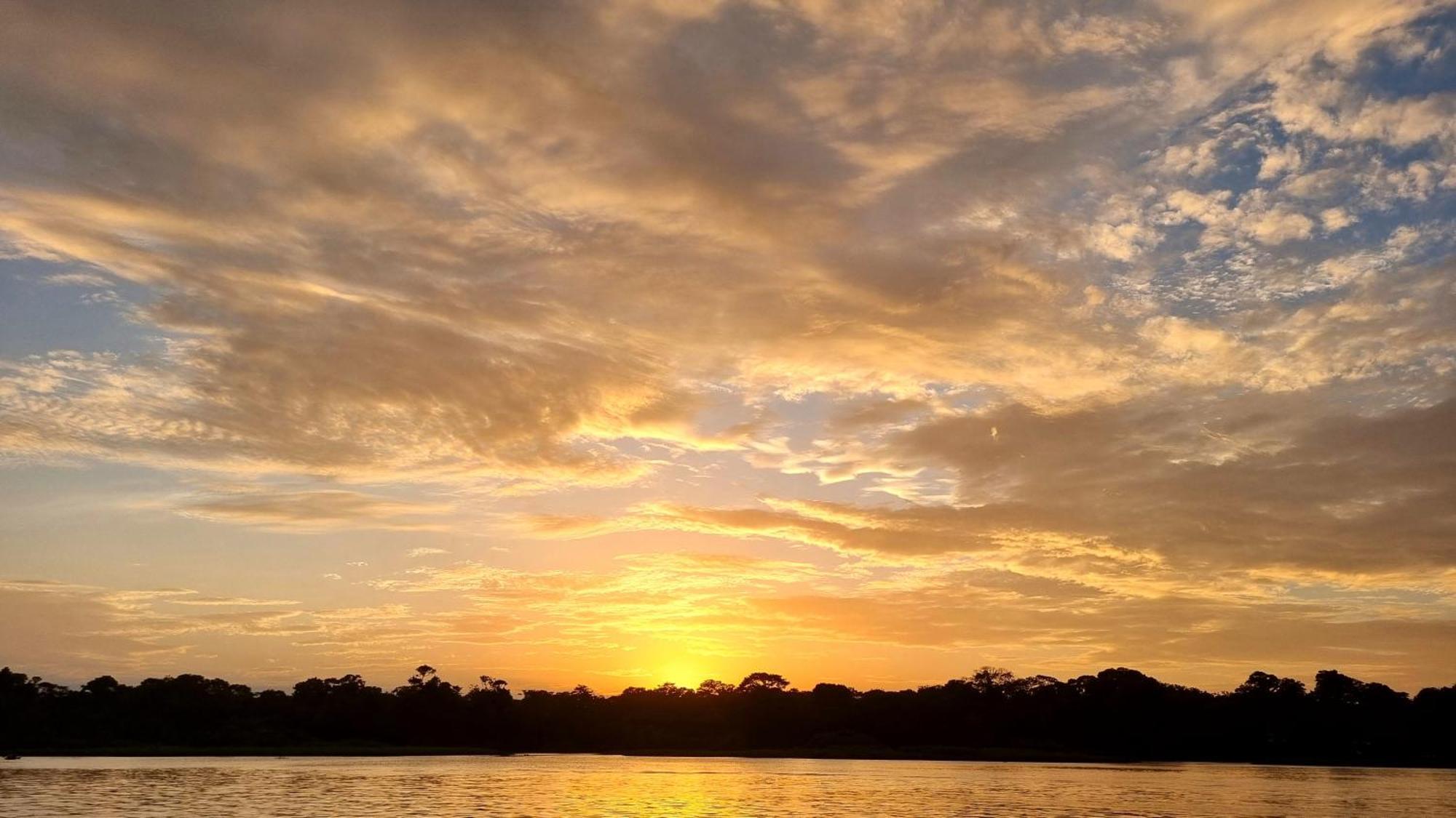 Wildlife Art Tortuguero Hotel Luaran gambar