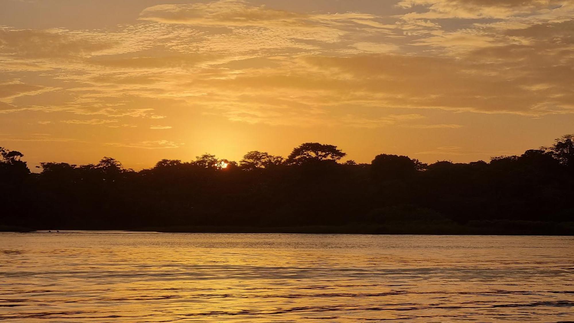 Wildlife Art Tortuguero Hotel Luaran gambar