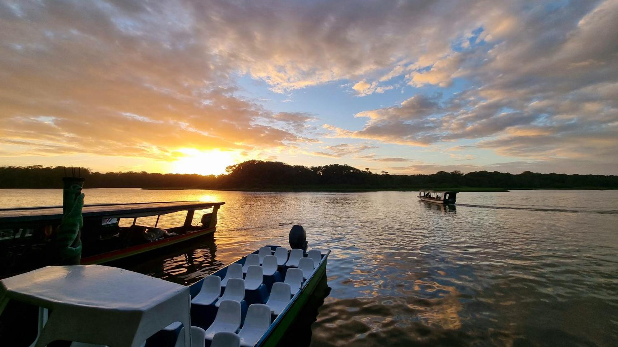 Wildlife Art Tortuguero Hotel Luaran gambar