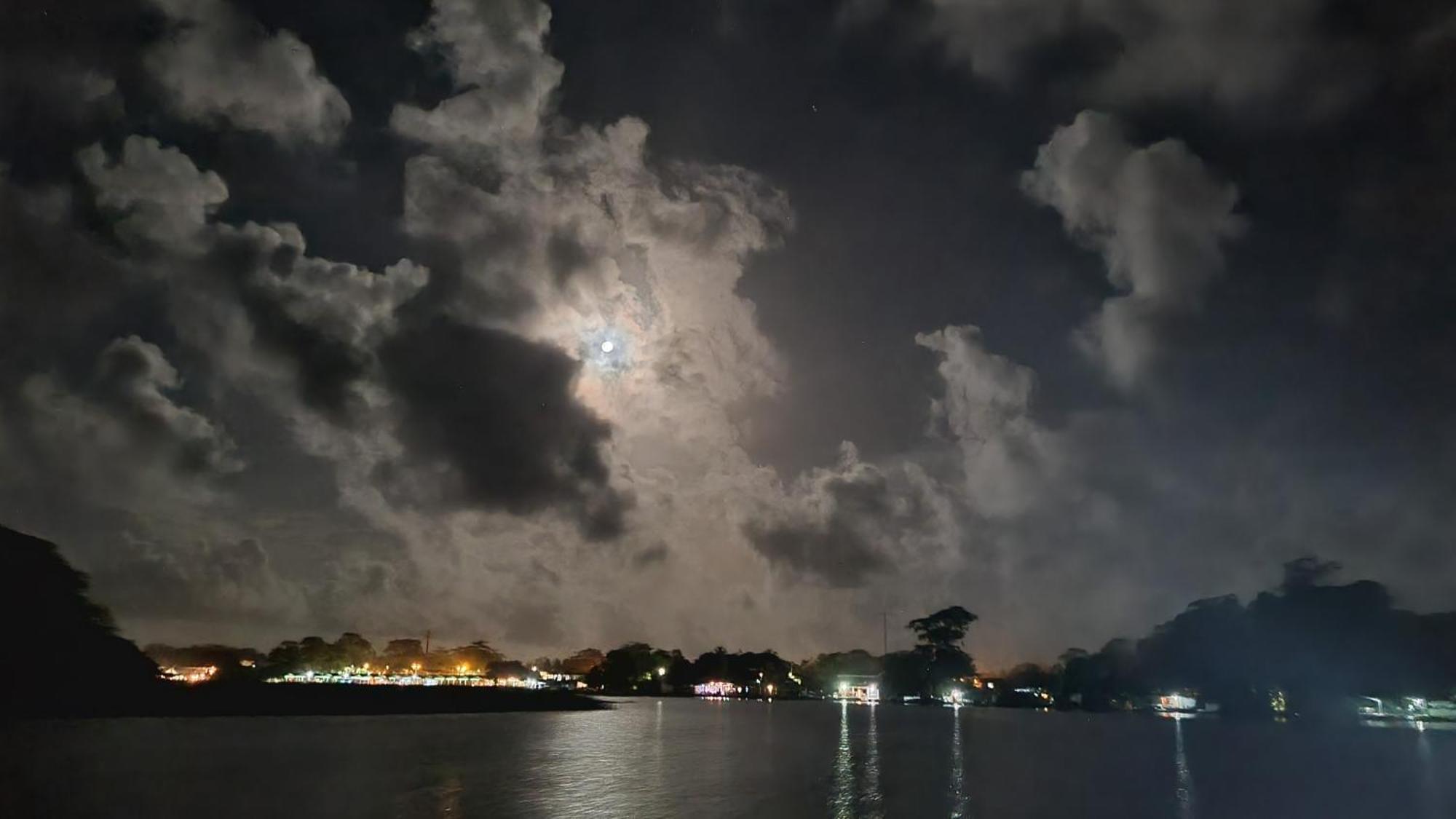 Wildlife Art Tortuguero Hotel Luaran gambar
