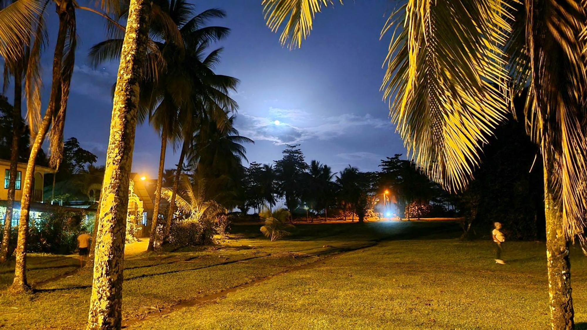 Wildlife Art Tortuguero Hotel Luaran gambar